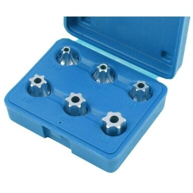 Galvučių su antgaliais rinkinys torx 1/2" 6vnt. Galvučių su antgaliais rinkinys torx 1/2" 6vnt.