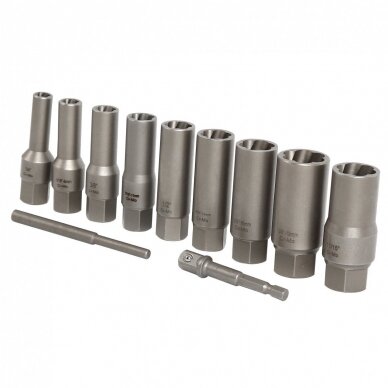 Galvučių rinkinys sugadintiems varžtams 3/8" 11vnt. 6-19mm WT01E9373 1