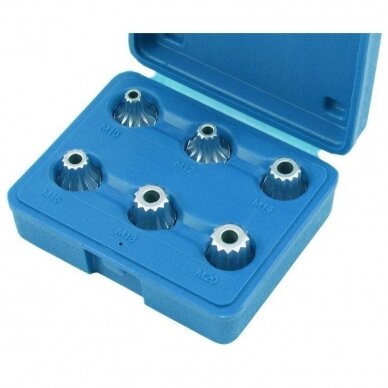 Galvučių su antgaliais rinkinys spline 1/2" 6vnt. Galvučių su antgaliais rinkinys spline 1/2" 6vnt.