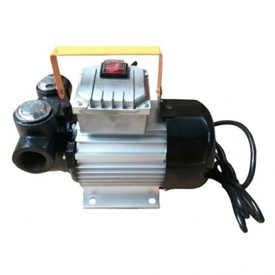 Siurblys dyzelinui/žibalui 220V 550W 1 Siurblys dyzelinui/žibalui 220V 550W 1