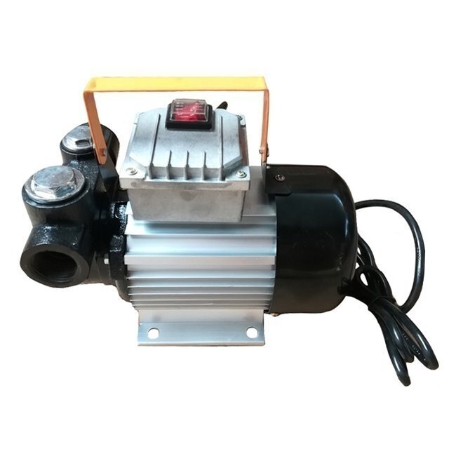 Siurblys dyzelinui/žibalui 220V 550W 1 Siurblys dyzelinui/žibalui 220V 550W 1