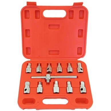 Tepalo kamštelių atsukimo galvučių rinkinys 1/2" 12vnt. S10483 Tepalo kamštelių atsukimo galvučių rinkinys 1/2" 12vnt. S10483
