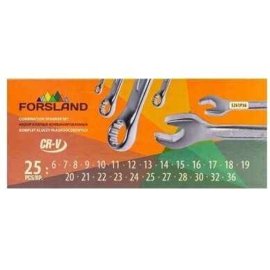 Veržliarakčių kombinuotų rinkinys 26vnt. (6-36) F-5261P36 1