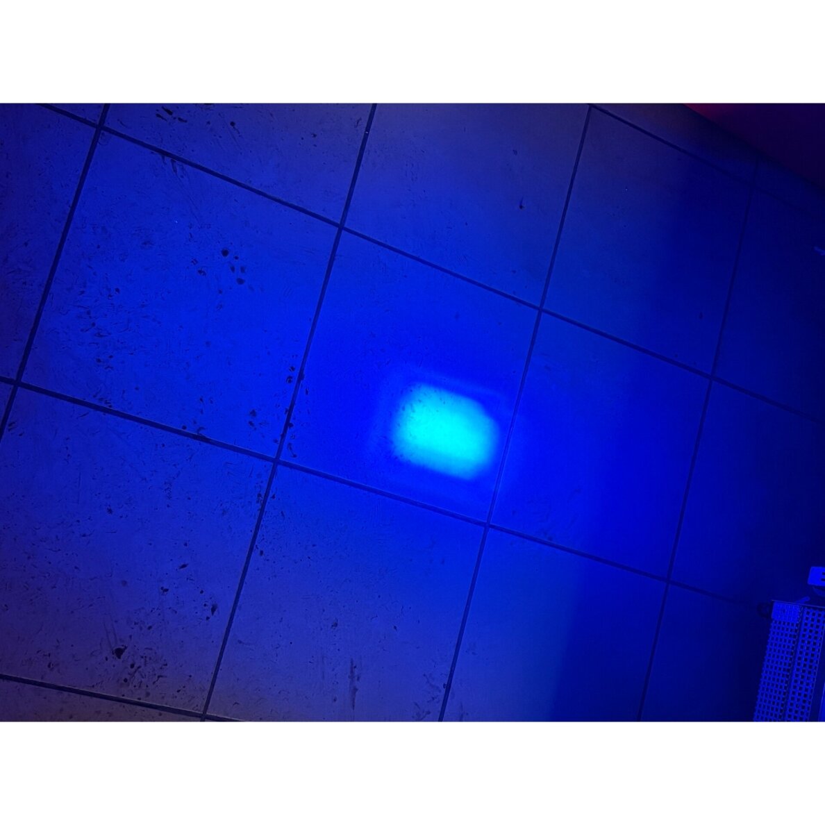 Žibintas darbinis mėlynas 2LED 10/80V 20W purkštuvams TT.13111B 5 Žibintas darbinis mėlynas 2LED 10/80V 20W purkštuvams TT.13111B 5