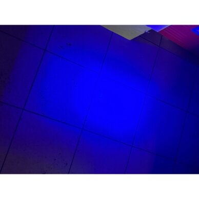 Žibintas darbinis mėlynas 2LED 10/80V 10W purkštuvams TT.13111S 4