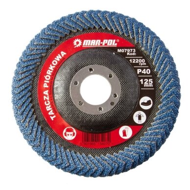 Žiedlapinis šlifavimo diskas kampinėms siūlėms 125mm 40# M07973